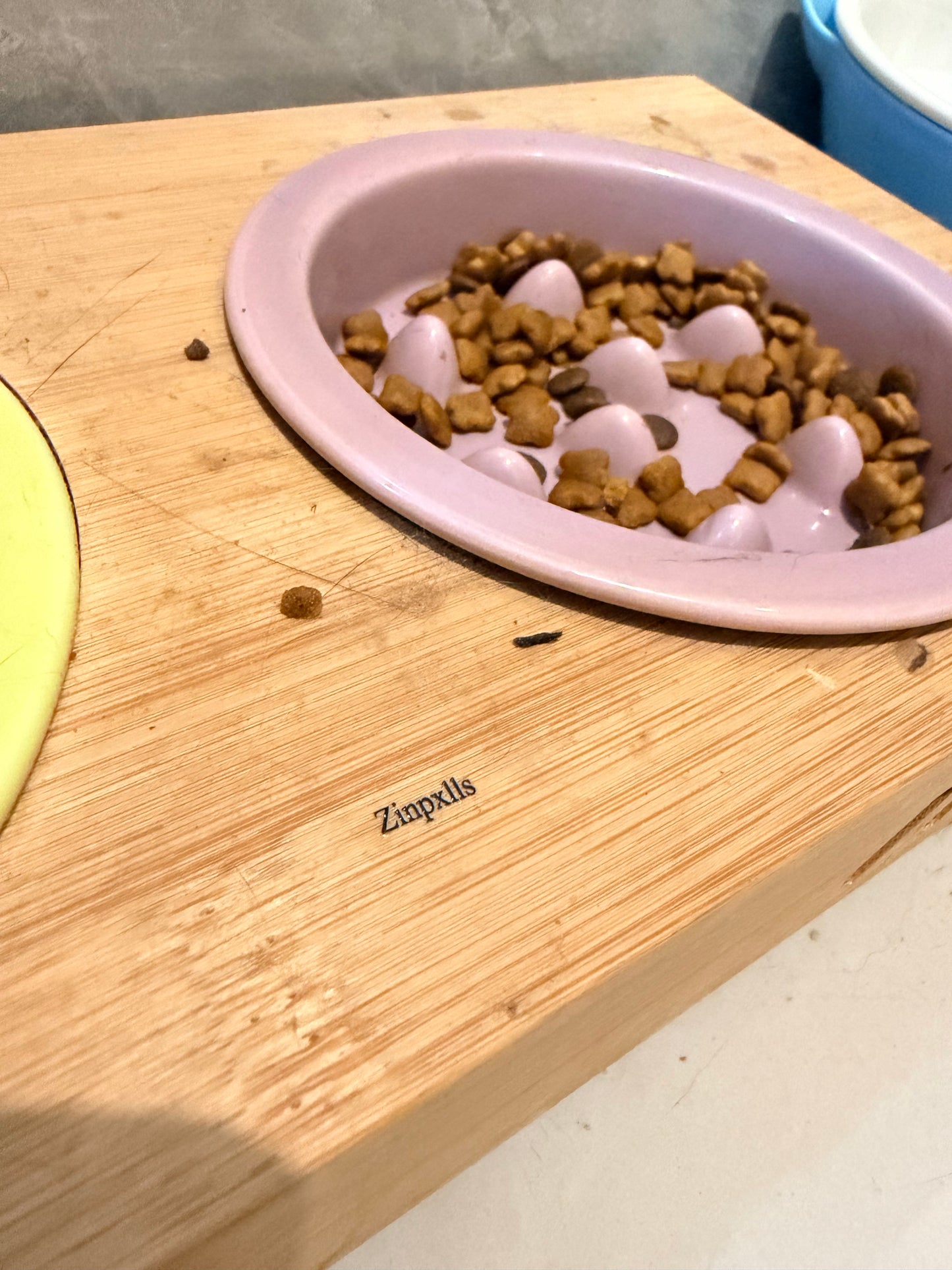 Zinpxlls Pet feeding dishes for Indoor Cats Small Dogs