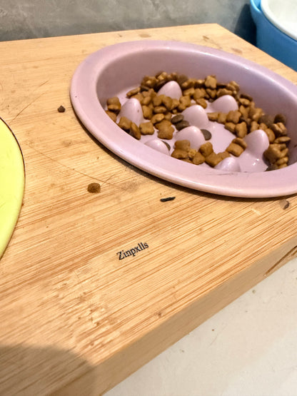 Zinpxlls Pet feeding dishes for Indoor Cats Small Dogs